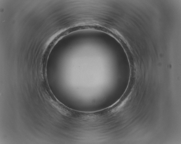 X0000077380830200611031934