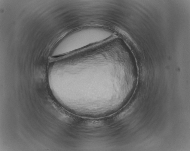 X0000077380833200611031934