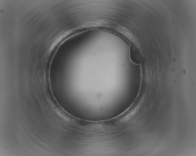 X0000077380834200611031934