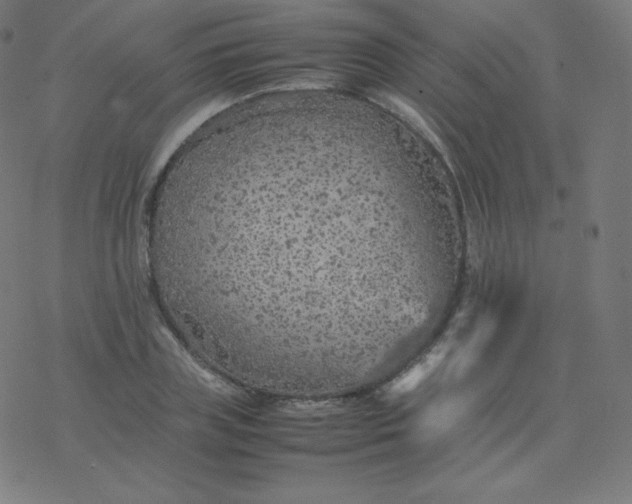 X0000077380835200611031934