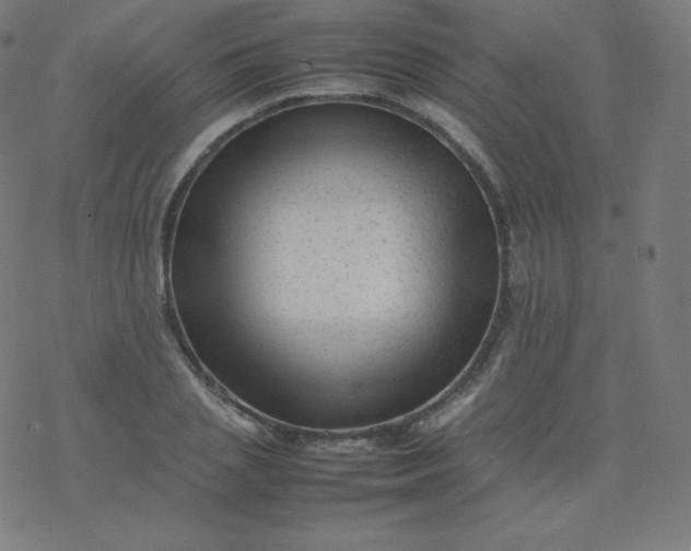 X0000077380837200611031934