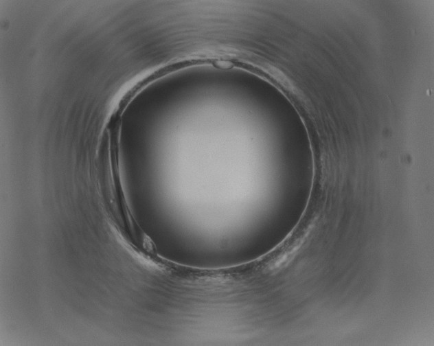 X0000077380838200611031934