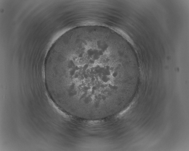 X0000077380839200611031934