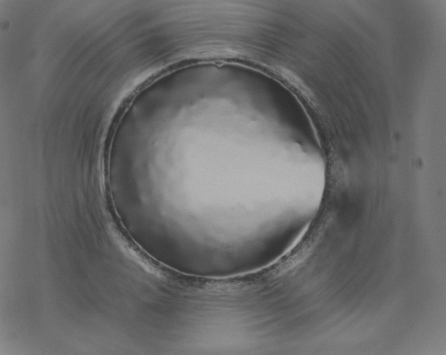 X0000077380840200611031934