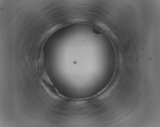 X0000077380841200611031934