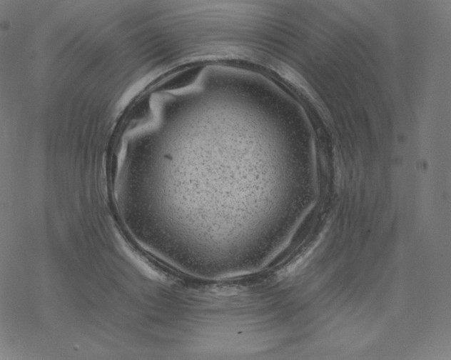 X0000077380842200611031934