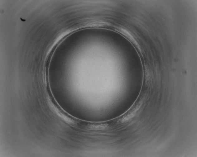 X0000077380843200611031934