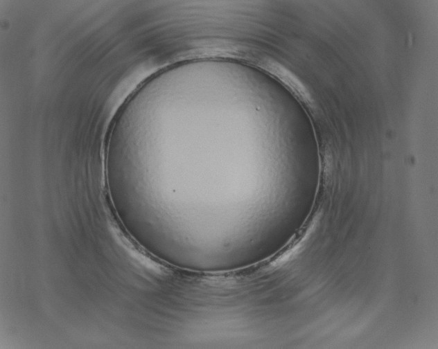 X0000077380844200611031934