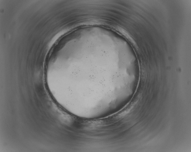 X0000077380845200611031934