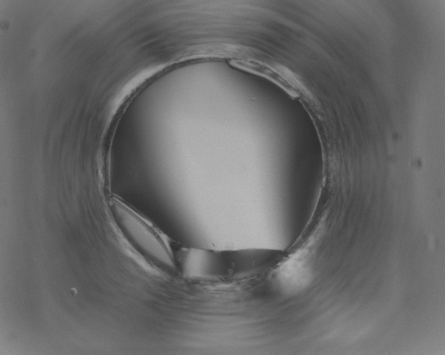 X0000077380846200611031934