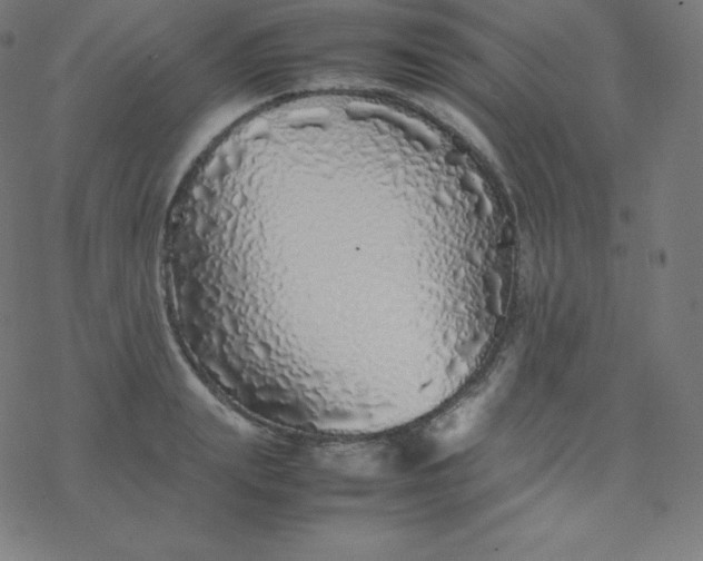 X0000077380847200611031934