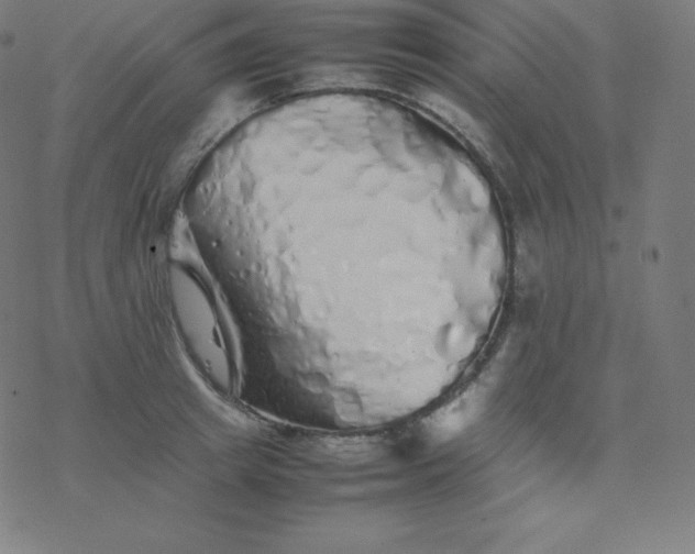 X0000077380849200611031934