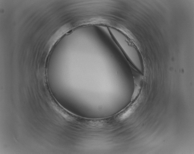 X0000077380850200611031934