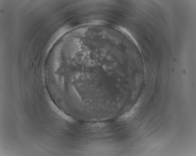 X0000077380851200611031934