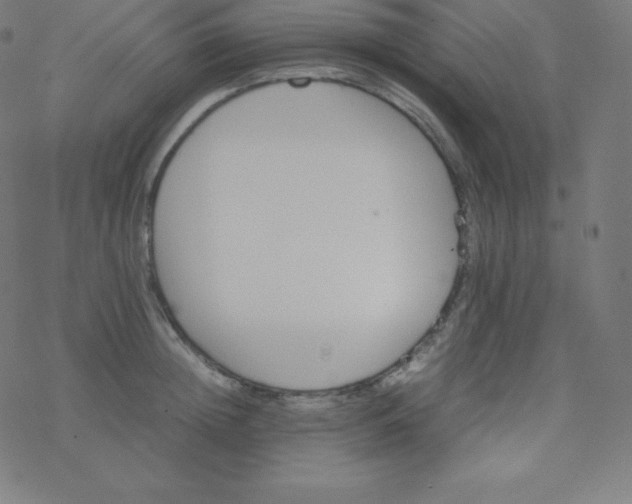 X0000077380852200611031934