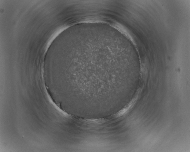 X0000077380855200611031935