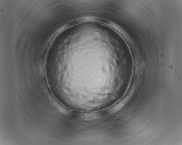 X0000077380857200611031935