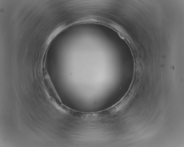 X0000077380858200611031935