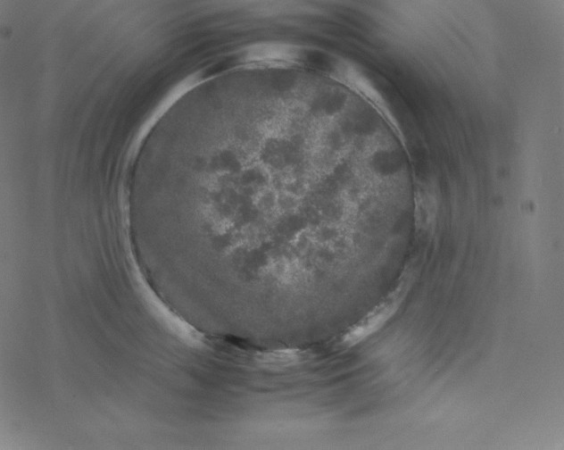 X0000077380859200611031935