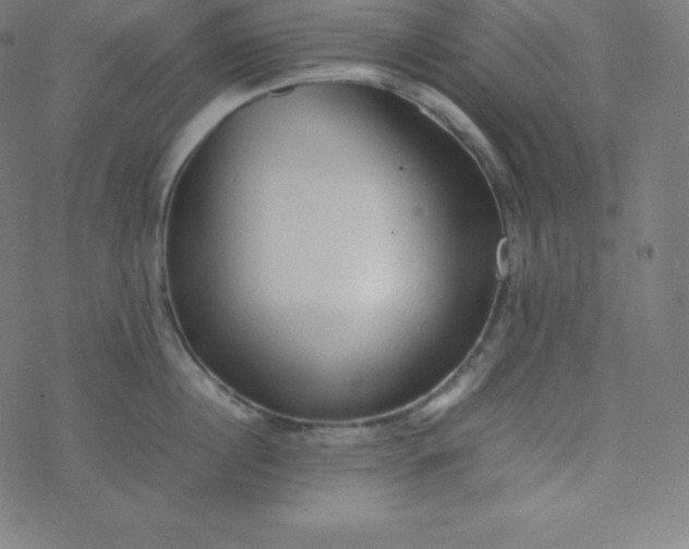 X0000077380860200611031935