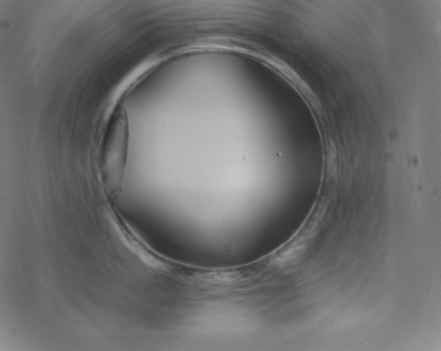 X0000077380862200611031935