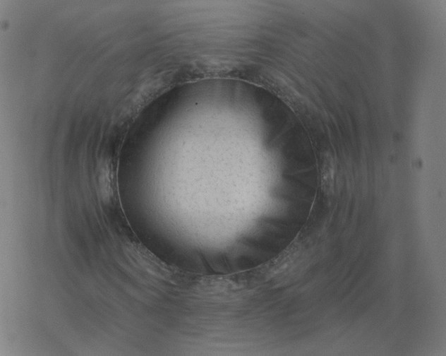 X0000077380866200611031934