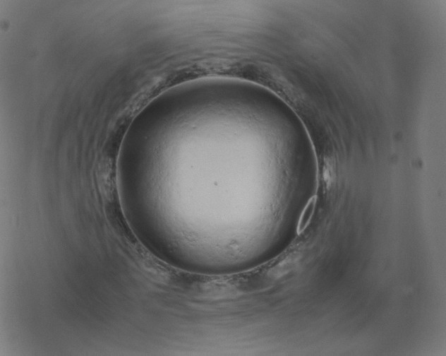 X0000077380867200611031934