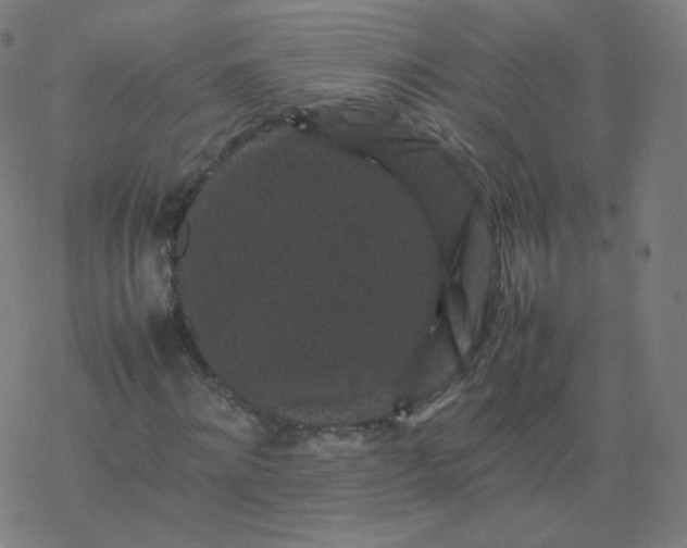 X0000077380868200611031934