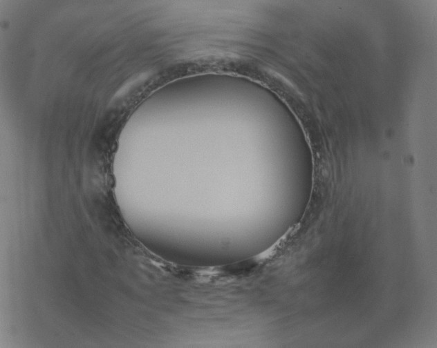 X0000077380869200611031934