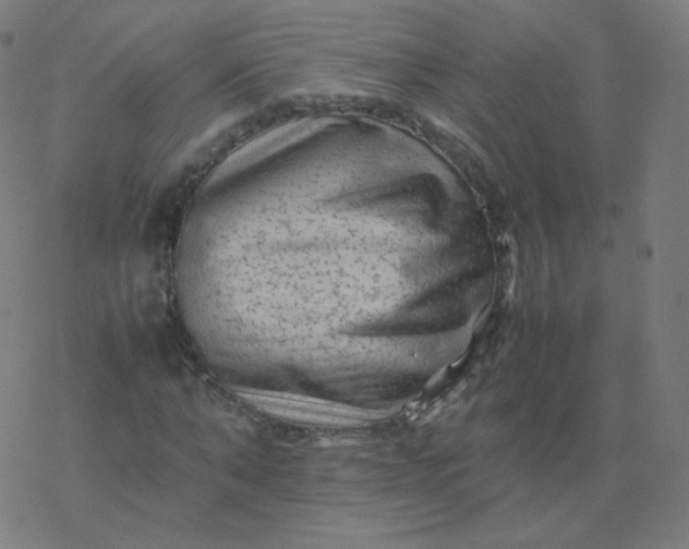 X0000077380870200611031934