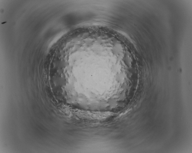 X0000077380871200611031934