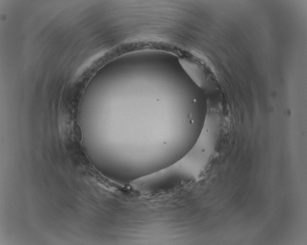 X0000077380872200611031934