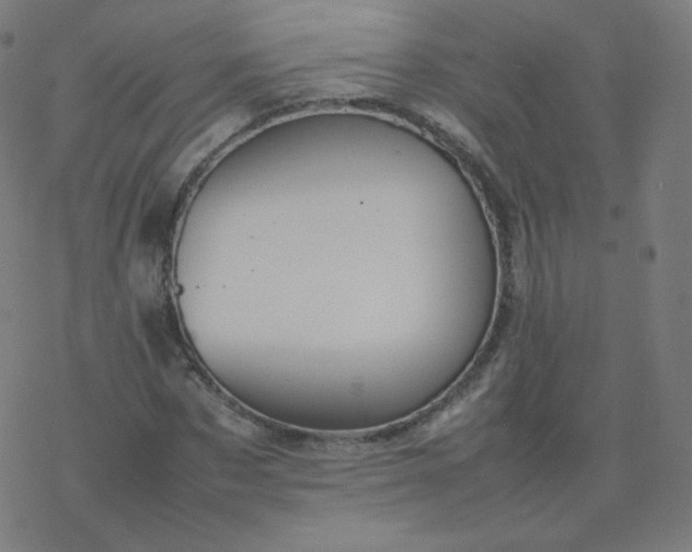 X0000077380873200611031934