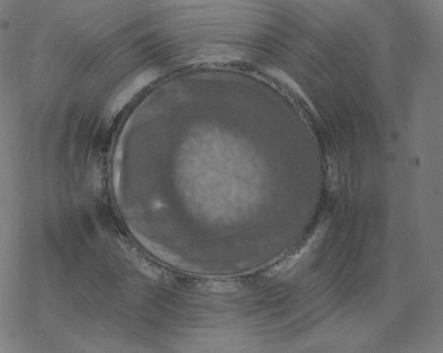 X0000077380874200611031934