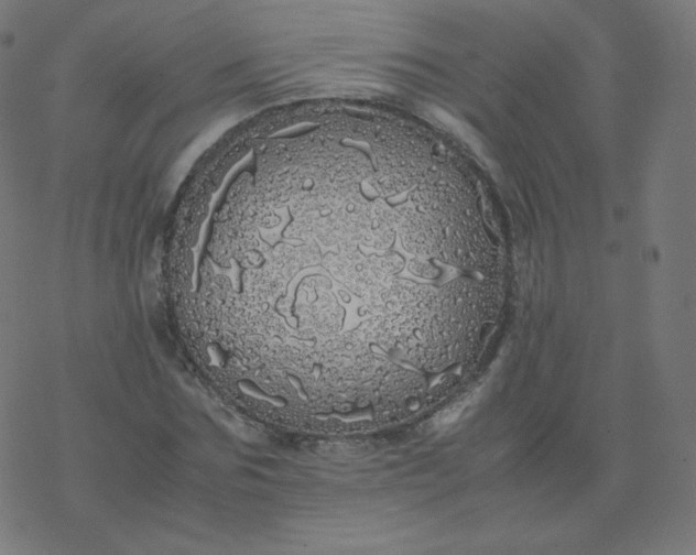 X0000077380875200611031934