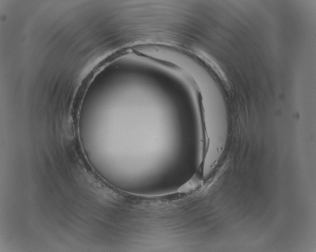 X0000077380876200611031934