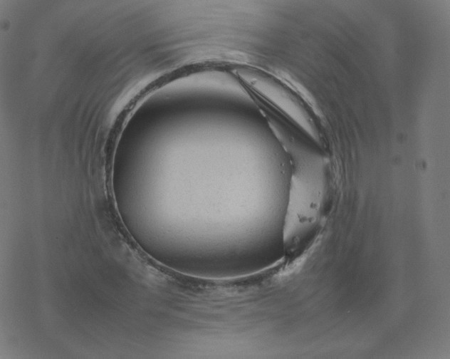 X0000077380877200611031934