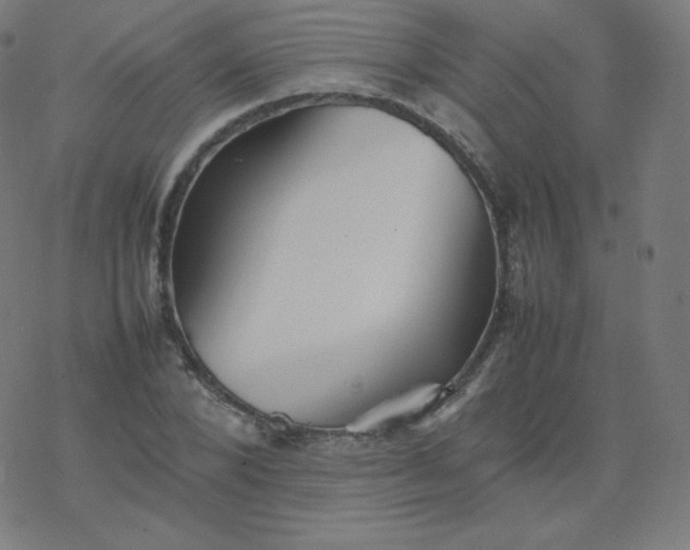 X0000077380880200611031934