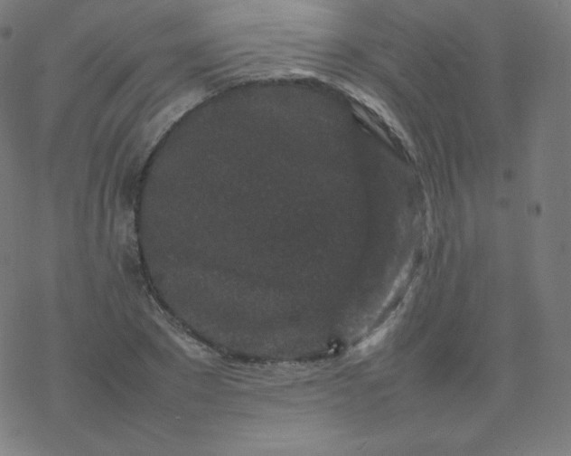 X0000077380881200611031934