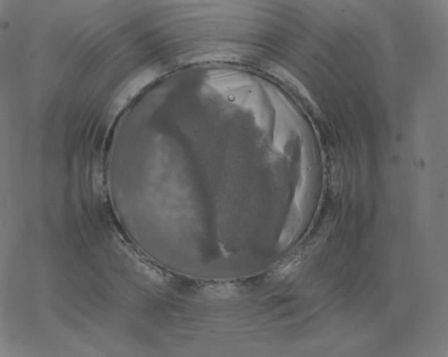 X0000077380882200611031934