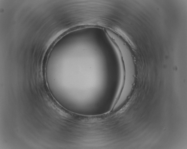 X0000077380884200611031934