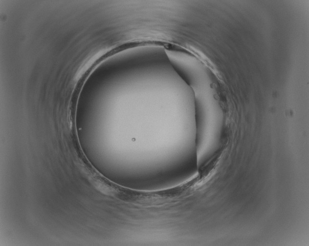 X0000077380885200611031934