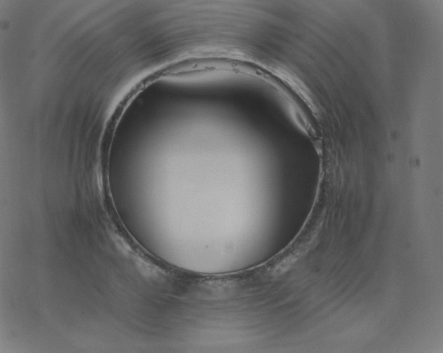 X0000077380888200611031934