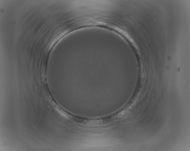 X0000077380889200611031933