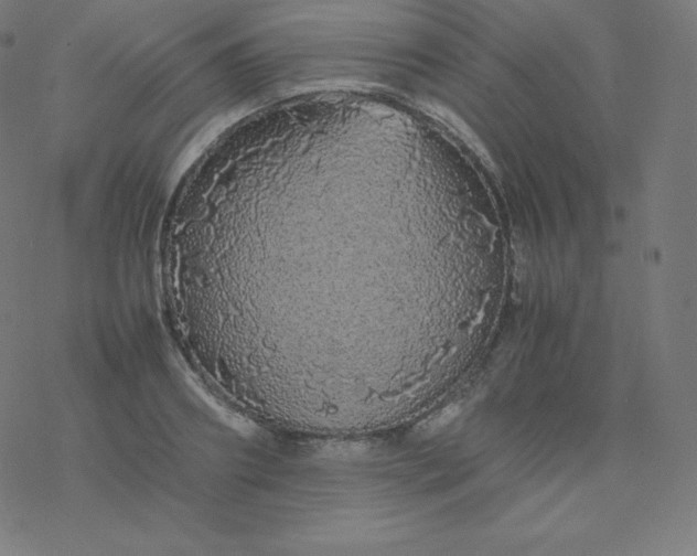 X0000077380890200611031933