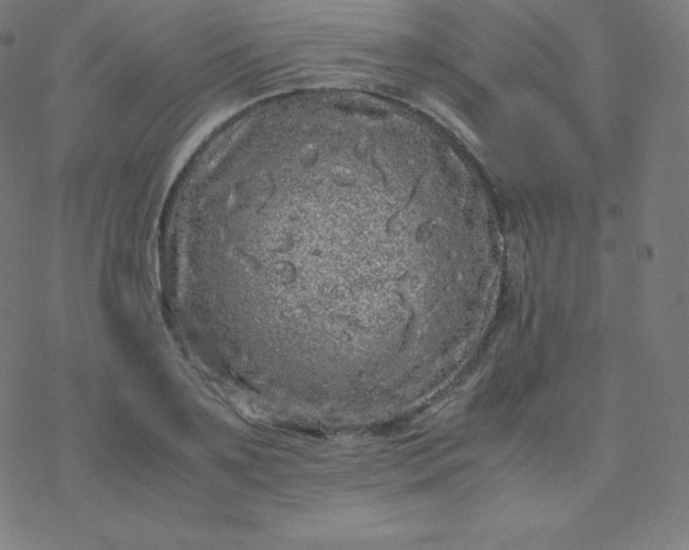 X0000077380891200611031933