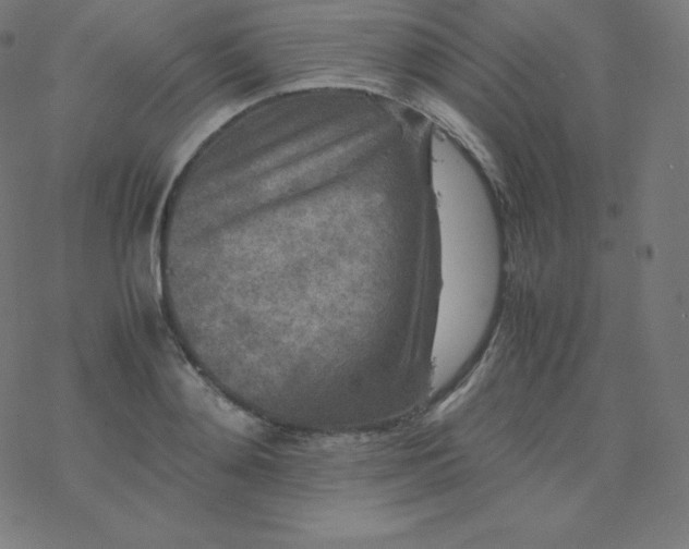 X0000077380892200611031933