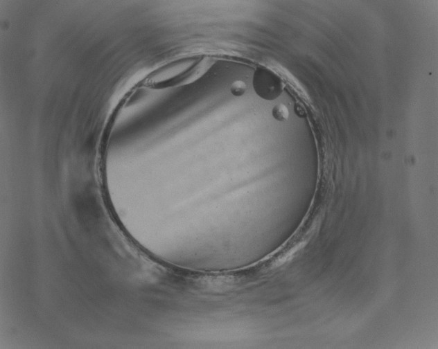 X0000077380893200611031933