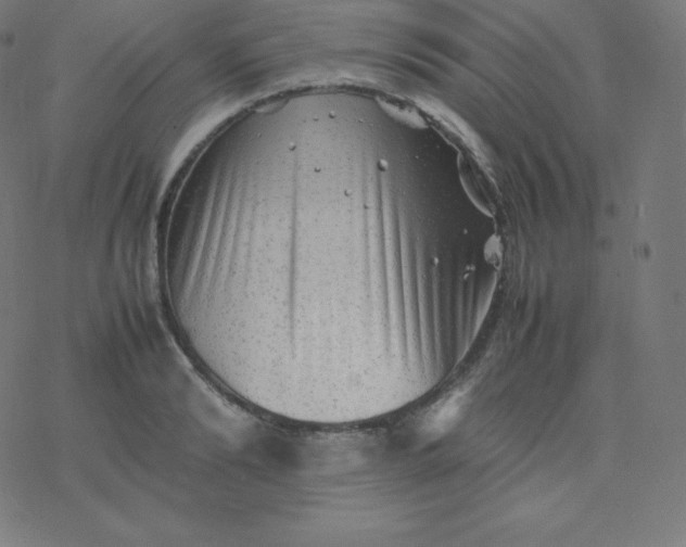 X0000077380894200611031933