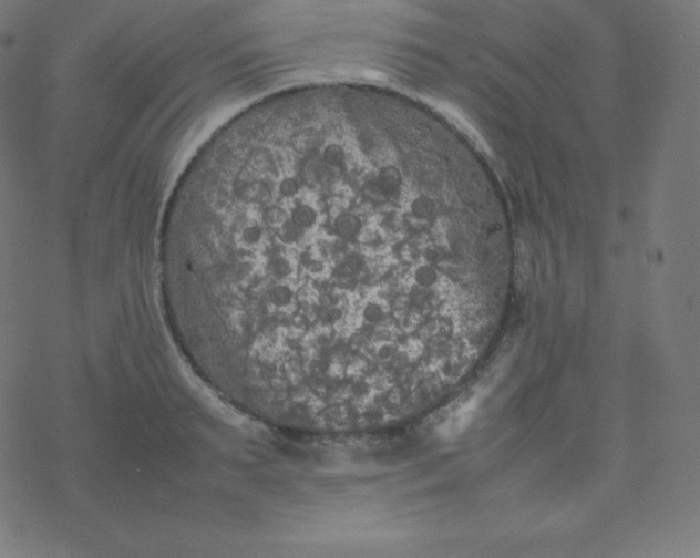 X0000077380895200611031933